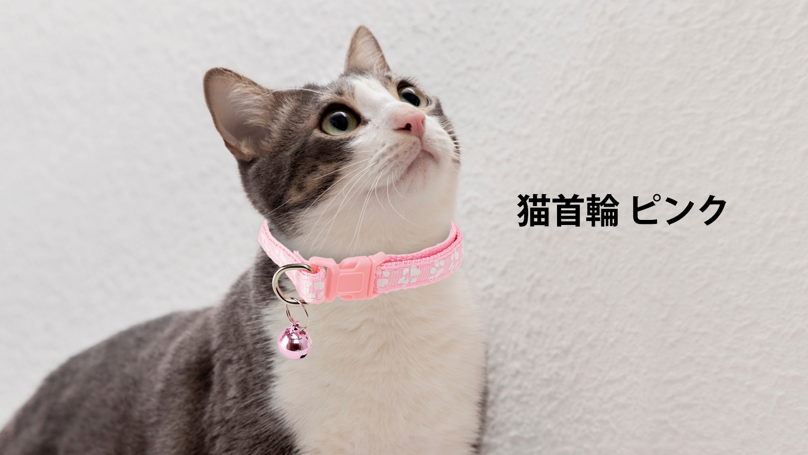 「ネコのボタン」の猫首輪　1本888円